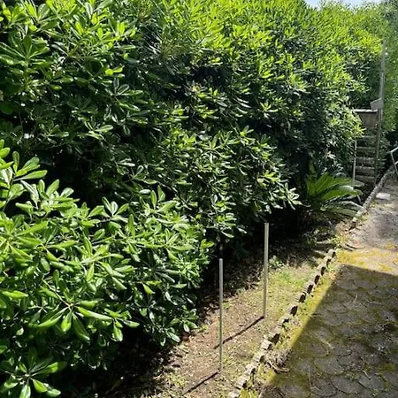 Con Giardino Semesterbostad